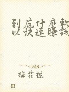 到底什么软件可以快速赚钱