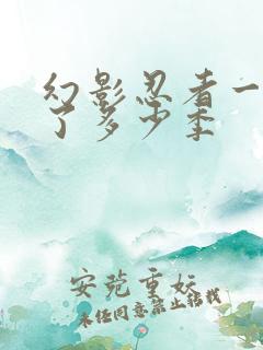 幻影忍者一共出了多少季