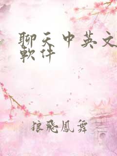 聊天中英文翻译软件