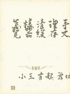 怎样清理手机浏览器缓存文件