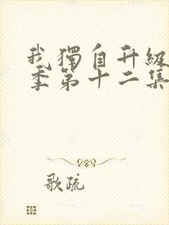 我独自升级第二季第十二集