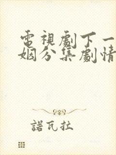 电视剧下一站婚姻分集剧情介绍