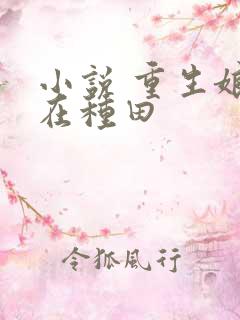 小说 重生娘子在种田