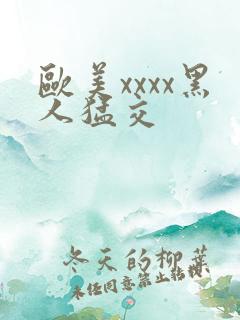 欧美xxxx黑人猛交