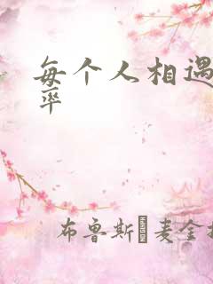 每个人相遇的概率