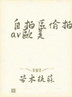 自拍区偷拍亚洲av欧美