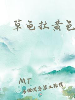 草龟拉黄色的屎