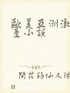 欧美亚洲激情国产小说