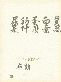 尿的蛋白质1+是什么意思