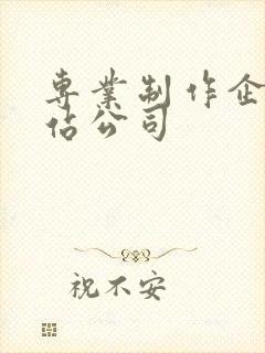 专业制作企业网站公司