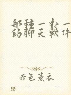 那种一对一视频的聊天软件