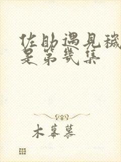 佐助遇见秽土鼬是第几集