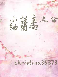 小说主人公叶观纳兰迦