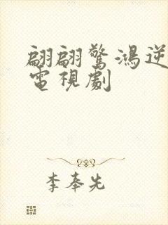 翩翩惊鸿逆游龙电视剧