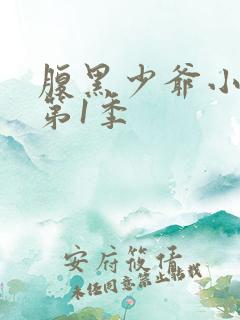 腹黑少爷小甜妻第1季