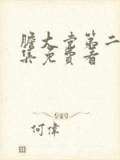 胆大党第二季全集免费看