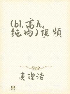 (bl,高h,纯肉)视频