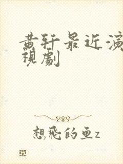 黄轩最近演的电视剧