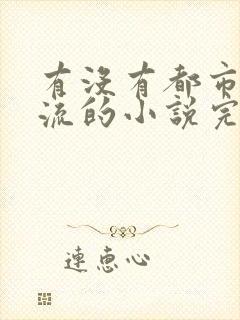 有没有都市无敌流的小说完结版的