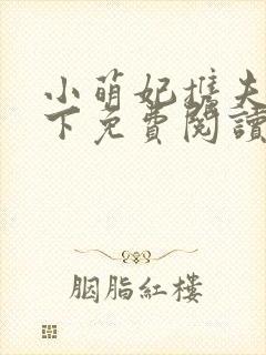 小萌妃携夫祸天下免费阅读