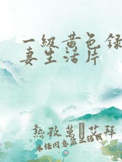 一级黄色录像夫妻生活片