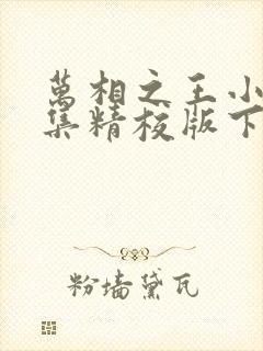 万相之王小说全集精校版下载