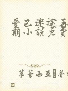 爱已迷途再无归期小说免费阅读