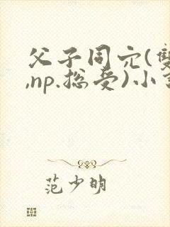 父子同穴(双性,np.总受)小说