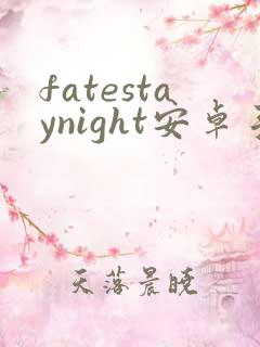 fatestaynight安卓手游