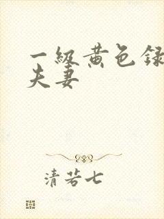 一级黄色录像,夫妻