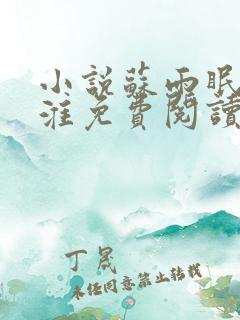 小说苏雨眠江易淮免费阅读