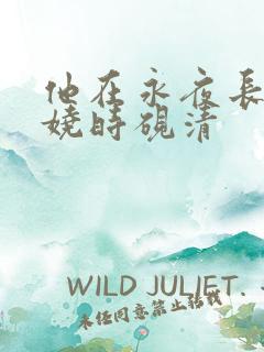 他在永夜长眠苏娆时砚清