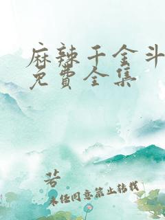 麻辣千金斗恶少免费全集