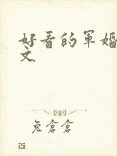好看的军婚年代文