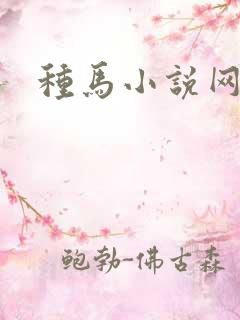 种马小说网