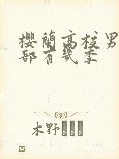 樱兰高校男公关部有几季