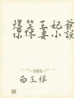 爆笑王妃爷我等你休妻小说