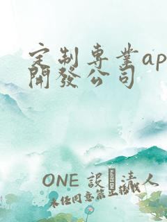 定制专业app开发公司