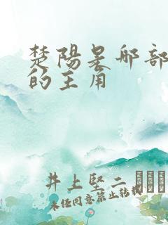 楚阳是哪部动漫的主角