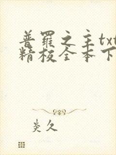 普罗之主txt精校全本下载