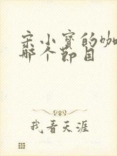 宋小宝的咖妃是哪个节目