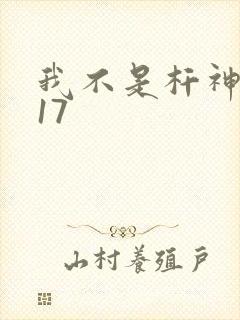 我不是杆神锤锤17
