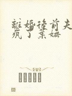 离婚后前夫哥他疯了叶妩