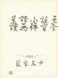 叶锋小说免费阅读无弹窗全文