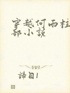 穿越何雨柱的全部小说