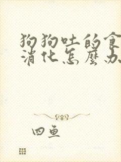 狗狗吐的食物未消化怎么办