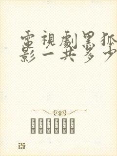 电视剧黑狐之风影一共多少集