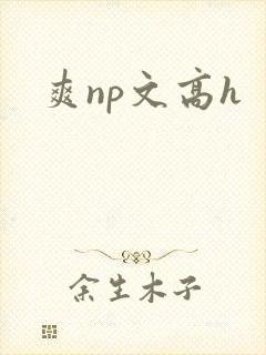 爽np文高h