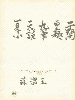 夏天九皇子穿越小说笔趣阁