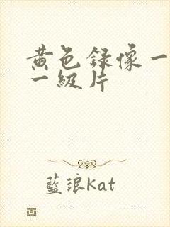 黄色录像一级片一级片